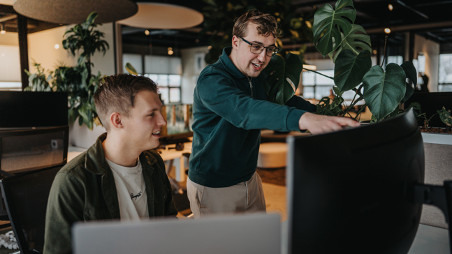 Arcady Content 29.01.2026 Next Level Media 190